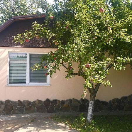 Apartments With Kitchen And Garden كييف المظهر الخارجي الصورة