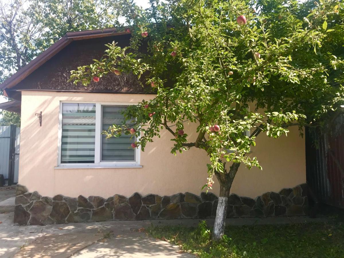 Apartments With Kitchen And Garden كييف المظهر الخارجي الصورة